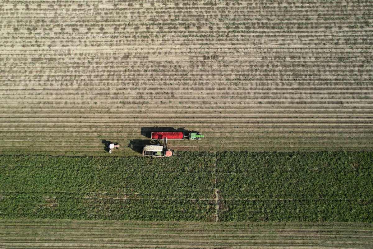 The prices of jasmine and tomatoes have risen in parts of India due to heavy rain and high humidity.