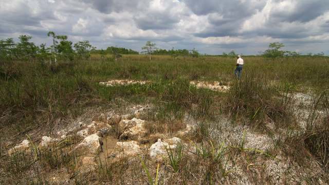 Florida is experiencing statewide, severe drought conditions after an unusually dry year.