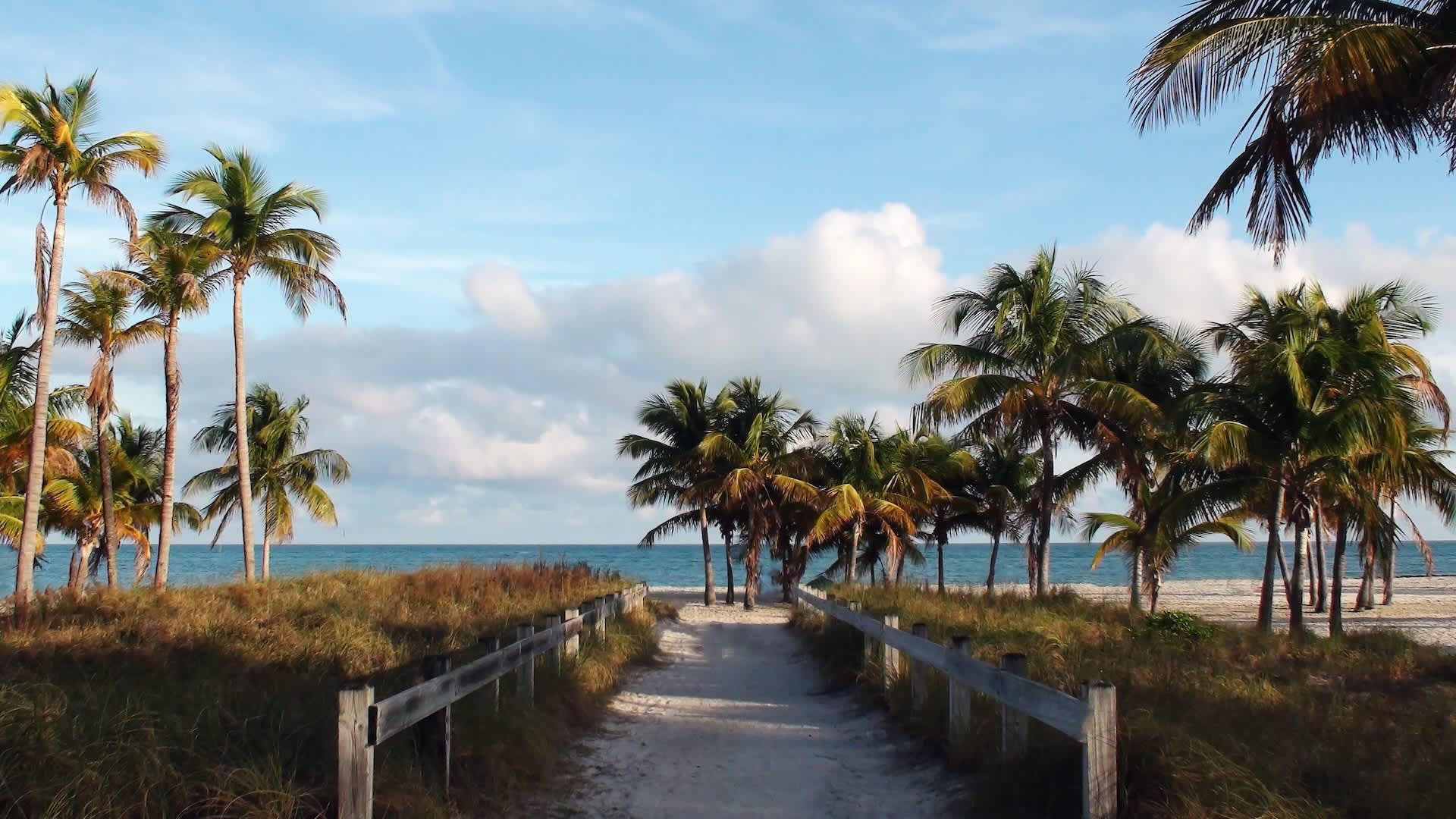 Residents in popular tourist destination want to move away because of repeated safety threats: '[A] large number of residents [are] struggling'