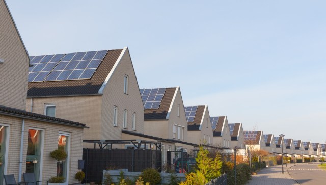 Florida's solar news: The Sunshine State is taking full advantage of its abundant resources by installing record numbers of solar and storage projects.