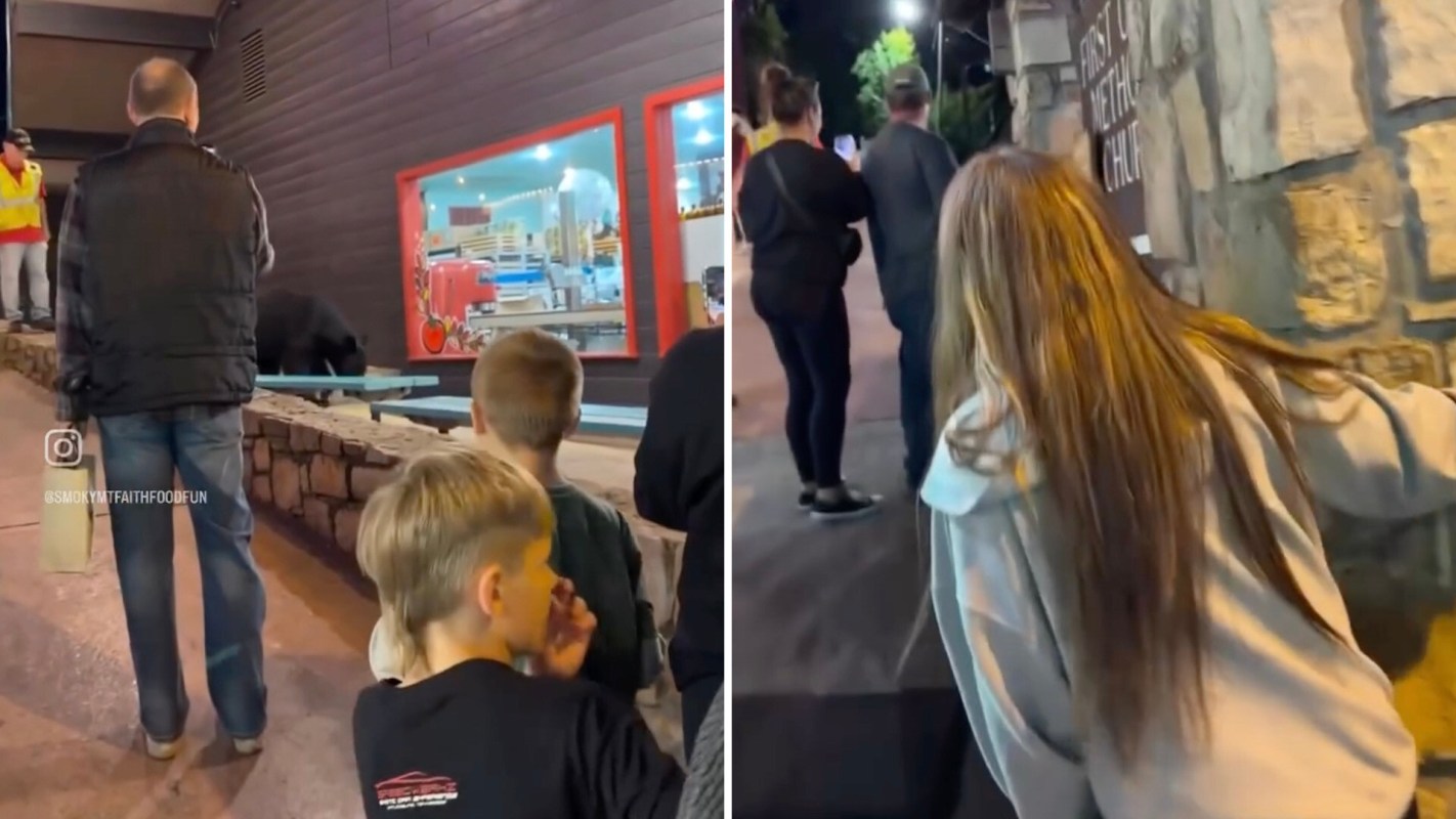 A bear in Gatlinburg caused quite a stir, as tourists got way too close while the animal roamed the streets.