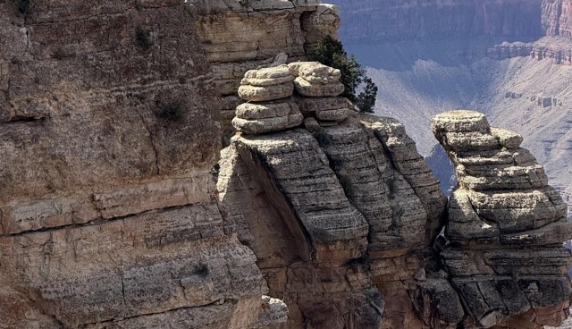 Tourists ignoring safety features at the Grand Canyon have stunned Reddit users.