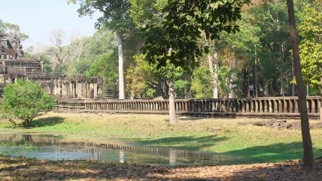 Conservationists have released two captive-bred storks into Cambodia's Siem Pang Wildlife Sanctuary.