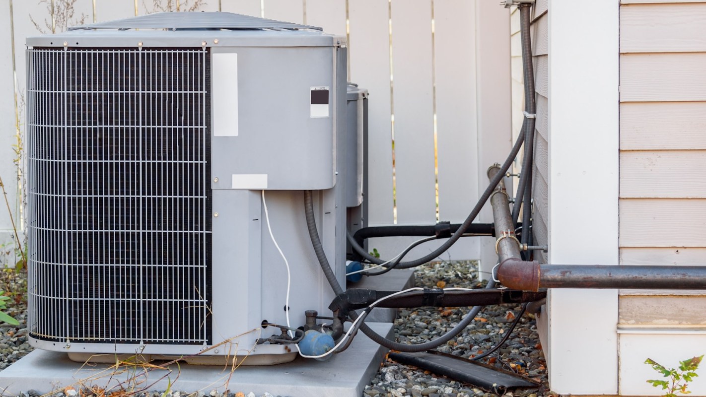 Scams targeting individuals aged 60 or older result in billions of dollars in losses each year, according to the FBI. A Redditor shared the details of witnessing this firsthand.