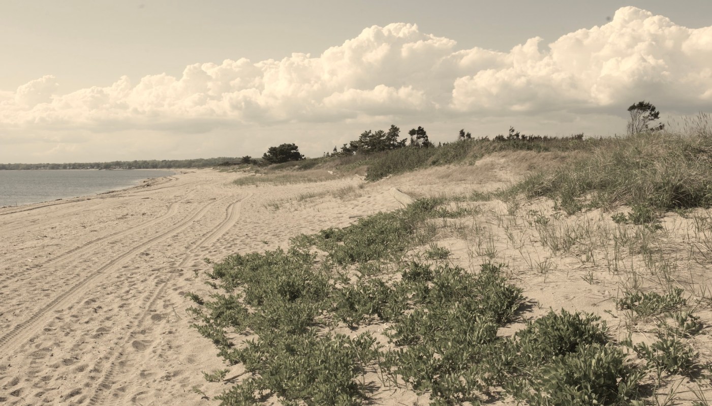 Hammonasset Beach State Park in Connecticut is experiencing rising sea levels, leading to the erosion of its salt marshes.