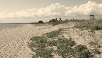 Hammonasset Beach State Park in Connecticut is experiencing rising sea levels, leading to the erosion of its salt marshes.