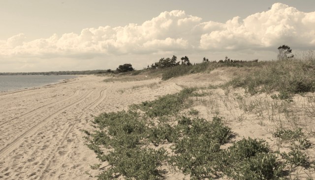 Hammonasset Beach State Park in Connecticut is experiencing rising sea levels, leading to the erosion of its salt marshes.