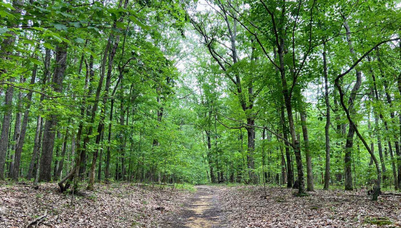 In a generous act of conservation, the Harman family donated 25 acres to the Land Trust of North Alabama.