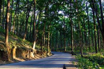 Himalayan black bears haven't gone into hibernation, leading to deadly clashes with mountain communities.