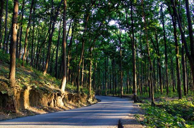 Himalayan black bears haven't gone into hibernation, leading to deadly clashes with mountain communities.
