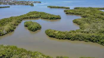 A study reveals how microplastics are entering Florida's Indian River Lagoon at an alarming rate.