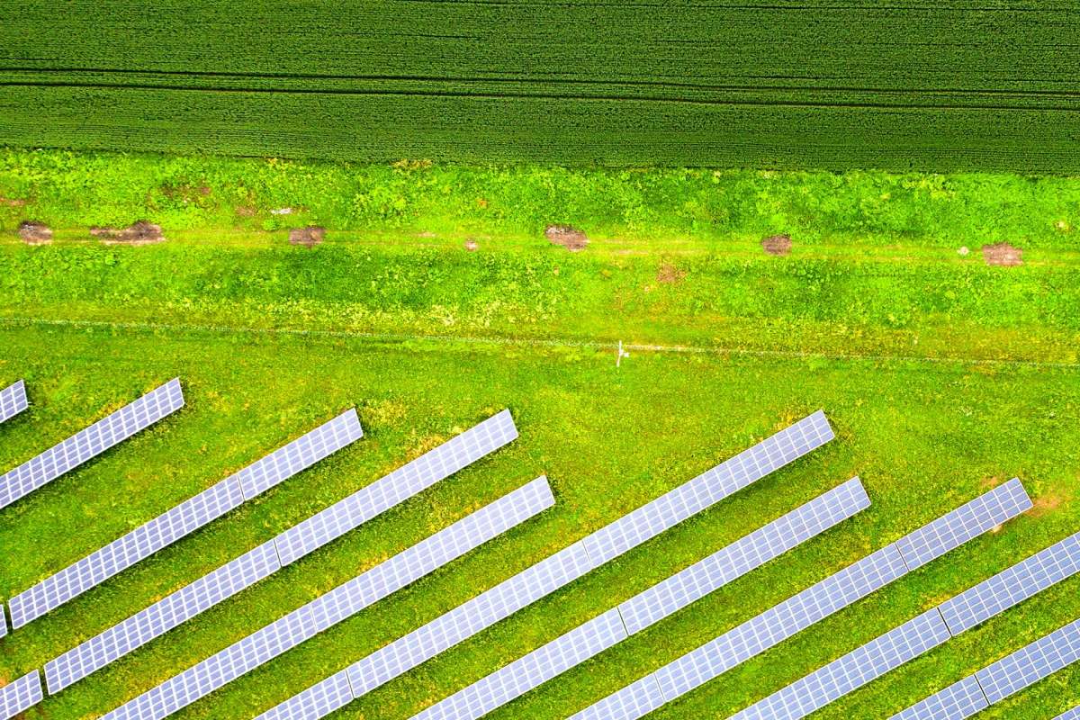 Byron Kominek, owner of Jack's Solar Garden in Longmont, Colorado, reveals how agrivoltaics turned his struggling farm around.