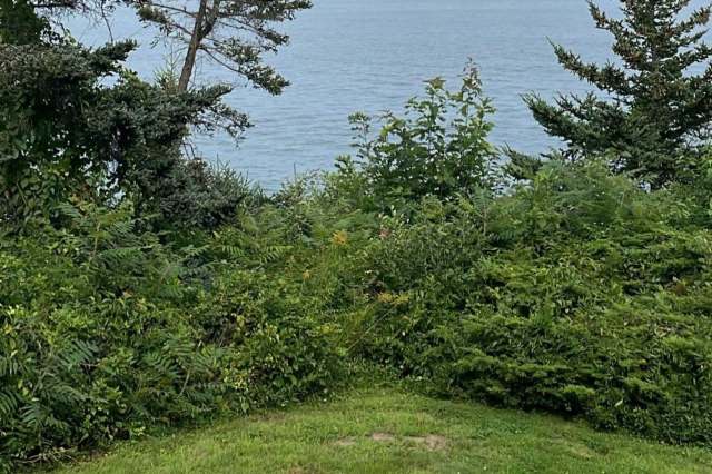 A Maine resident shared an unusual sight off the coast of Cape Elizabeth: a massive yacht unlike anything they'd seen before.
