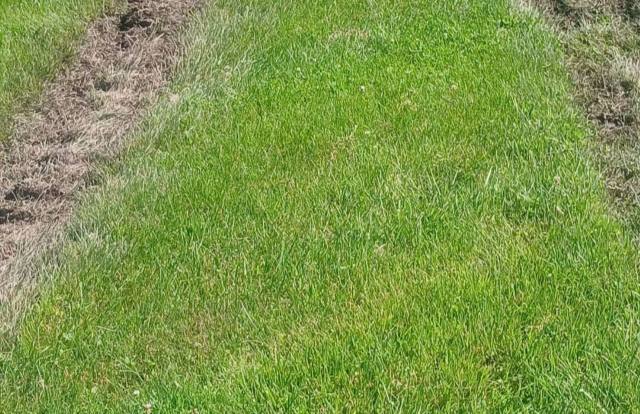 The day after July Fourth can be one of the most unsightly for many local parks, as the aftermath of the celebrations is often apparent.