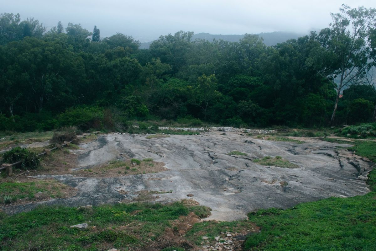 Researchers are concerned about a change in migratory patterns across Karnataka, with some species' arrivals decreasing by 50%.