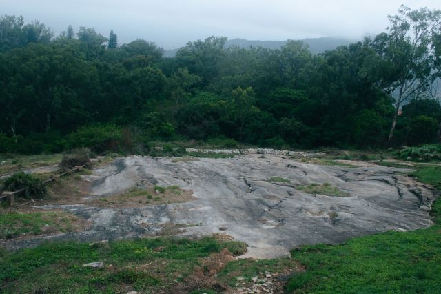 Researchers are concerned about a change in migratory patterns across Karnataka, with some species' arrivals decreasing by 50%.