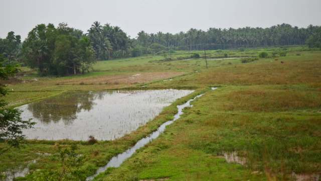 Unseasonal rain in Karnataka, India, has led to soaring produce prices.