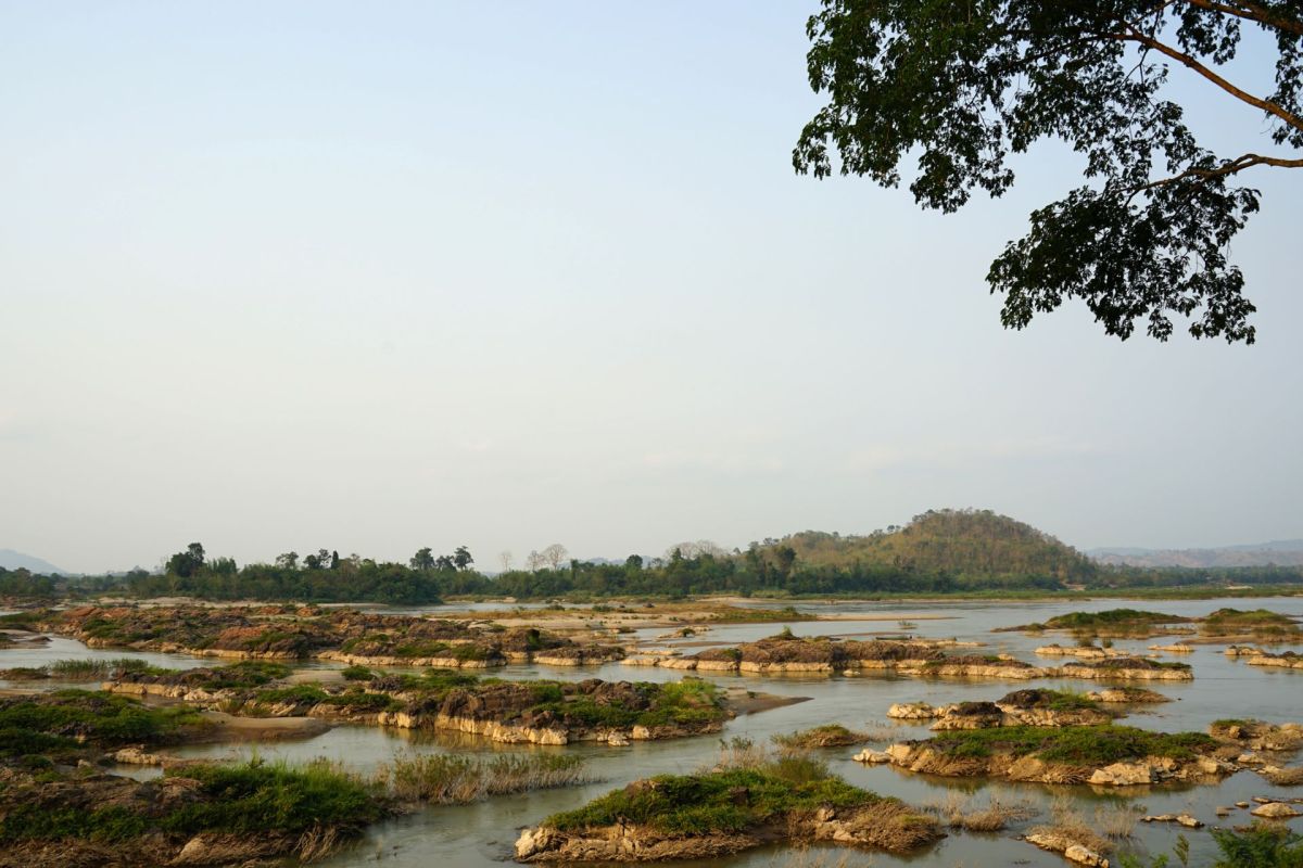Indian officials placed a total ban on hunting Amur falcons to protect the birds during their seasonal migration.