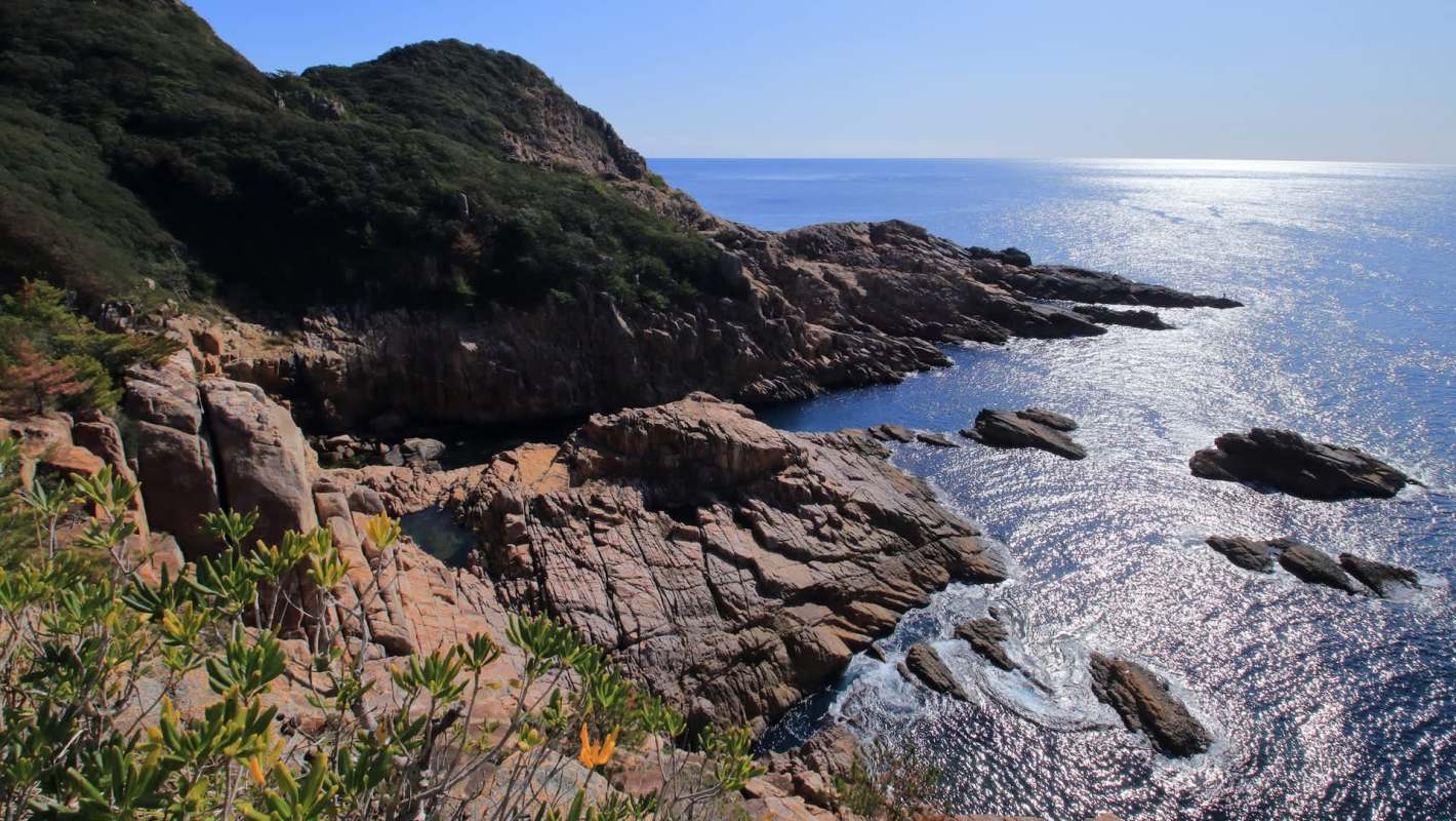 The Kuroshio Current typically flows off the coast of Japan, but its extension has moved as much as 300 miles north in recent years.