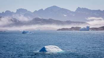 Researchers analyzing the Labrador Sea have uncovered disturbing findings.