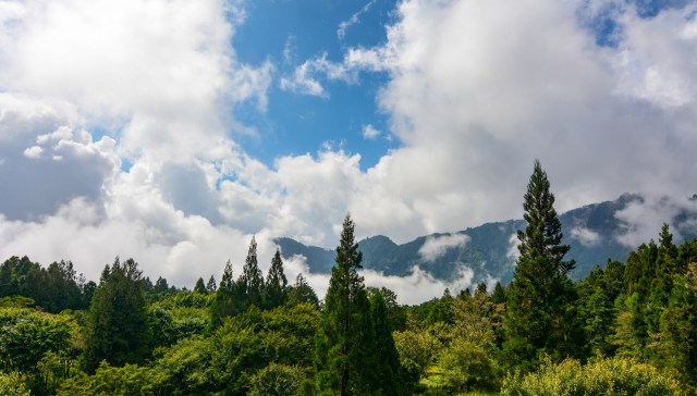 China Global Television Network shared a YouTube Shorts post showcasing the Lishan National Nature Reserve, where rare wildlife was caught on an infrared camera.