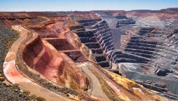 A new horned bee species was discovered in the Bremer Range in Western Australia and was dubbed the Lucifer bee.