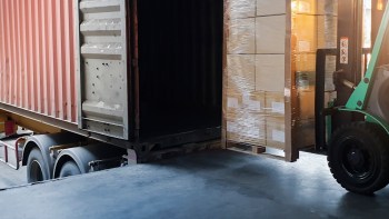 The Malaysian purple-femur tarantula is being driven toward extinction by the illegal exotic pet trade.