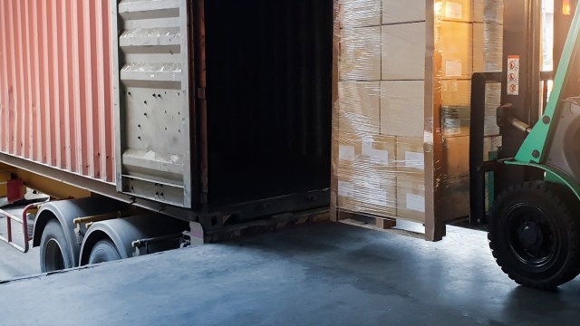 The Malaysian purple-femur tarantula is being driven toward extinction by the illegal exotic pet trade.