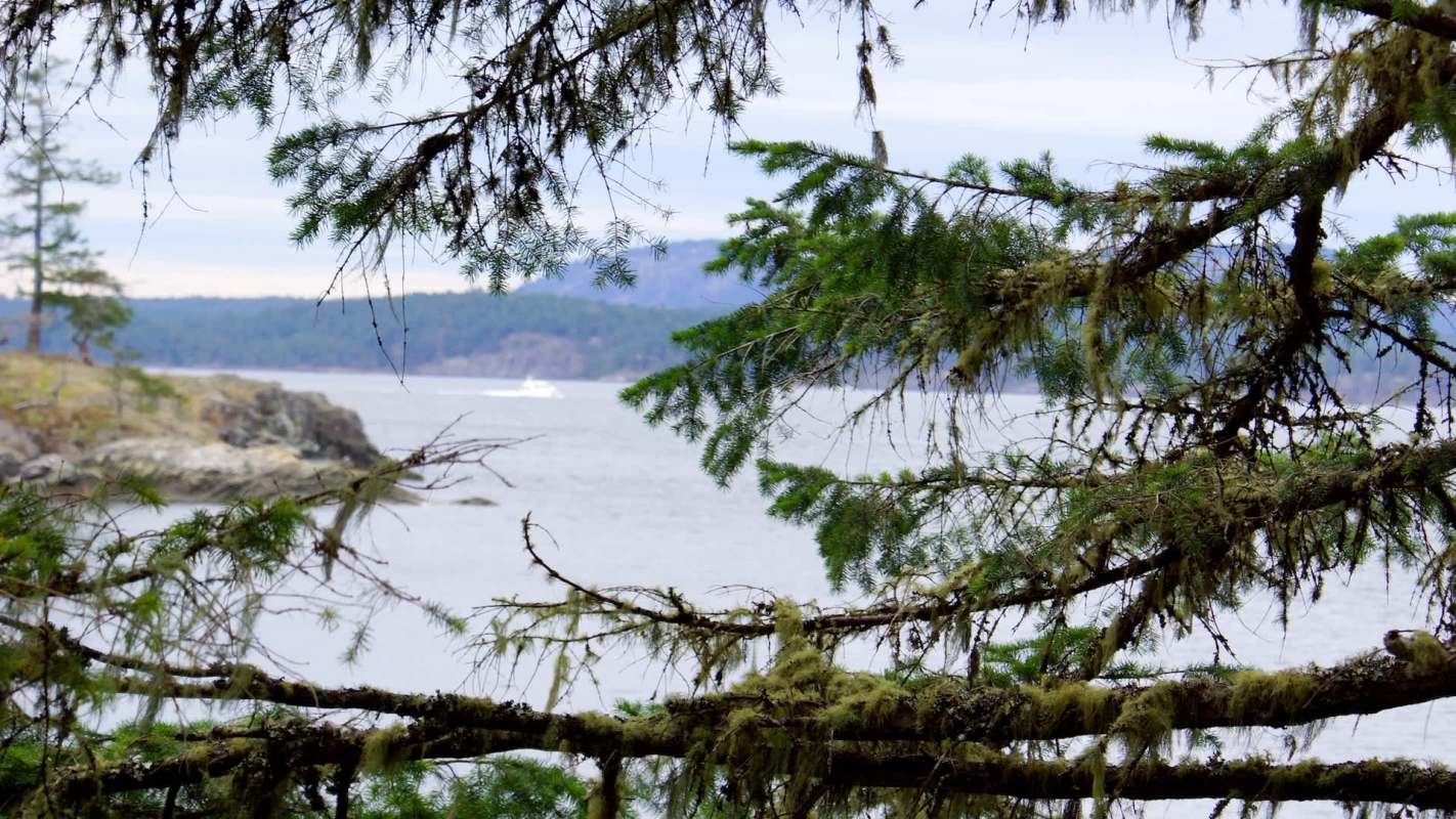 Mark Zuckerberg's super yacht just made an appearance off the coast of Mexico, leaving many concerned about its environmental impact.