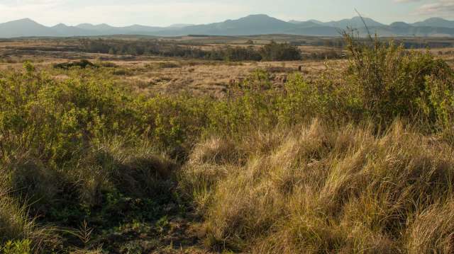 Marloth Park, a wildlife sanctuary in South Africa, is home to free-roaming wild animals and diverse native flora.