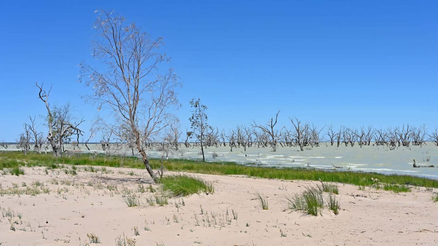 A 78-year-old has put his passion for birdwatching to work, boosting local conservation efforts.