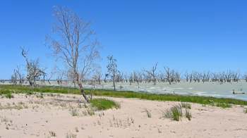 A 78-year-old has put his passion for birdwatching to work, boosting local conservation efforts.