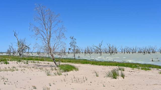 A 78-year-old has put his passion for birdwatching to work, boosting local conservation efforts.