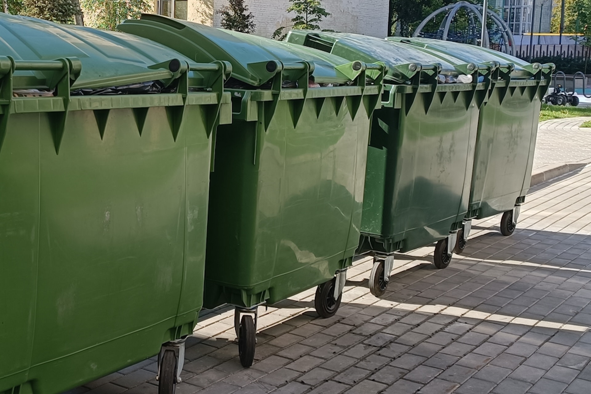 Dumpster diver shares video of stunning holiday discovery behind chain store: 'Absolutely mind-blowing'