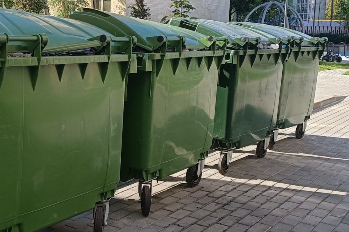 When one mom went dumpster diving at Michaels, she snagged a trunk full of holiday decor.