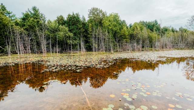 Researchers found that dozens of species' age groups are now much smaller than they were a century ago.