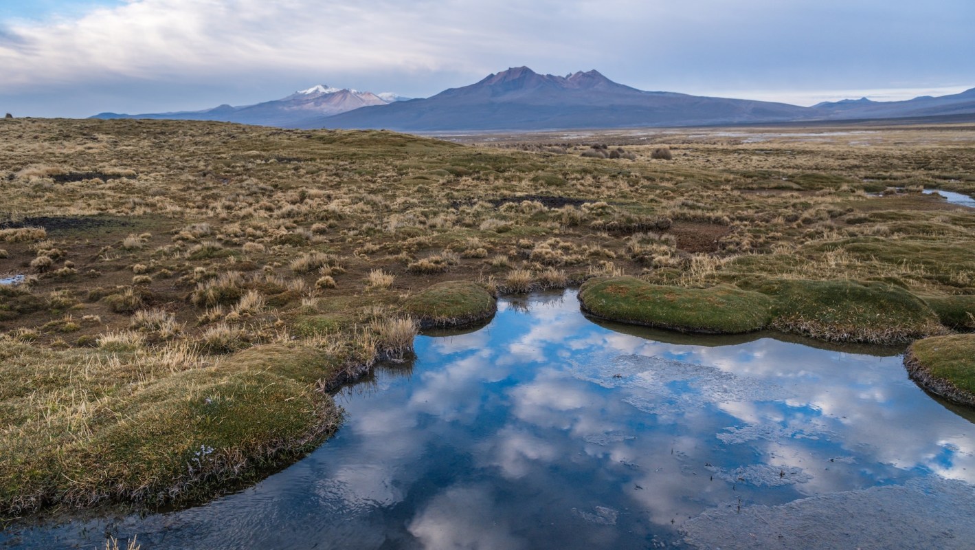 A fish species not recorded in the wild for more than 20 years was rediscovered in Bolivia.