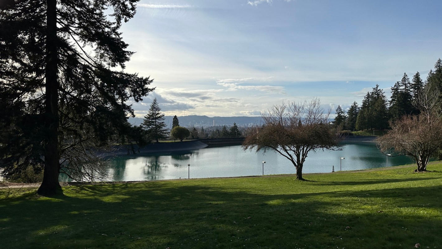 One Redditor reached out to the r/Portland subreddit, seeking advice on how to volunteer and address invasive species in Mount Tabor Park.