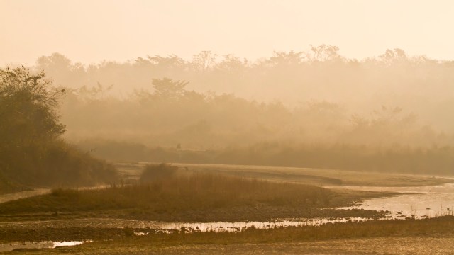 Researchers are seeing an alarming trend in the behavior of elephants and tigers in the Terai Arc Landscape.