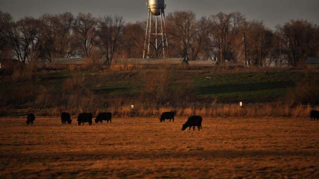Rogue Valley is in southwest Oregon and is home to several cattle ranches that are getting hit hard by a local pack of gray wolves.