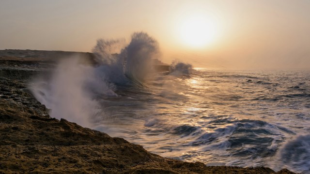 An Indo-Pacific finless porpoise was discovered washed up on a beach at Ormara, Balochistan, in Pakistan, making it the fourth marine death within two weeks.