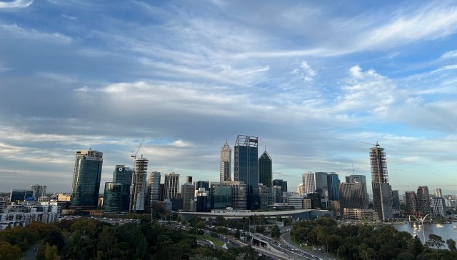 After years of rapid spread and thousands of dead trees, officials are shifting from trying to wipe out the polyphagous shot-hole borer to figuring out how to live with it.