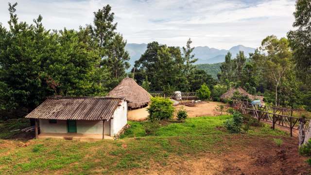 A team of researchers discovered a new jumping spider species in the Western Ghats mountain range in India.