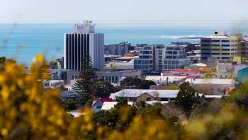 An invasive species of Portuguese millipede is spreading across New Zealand and causing alarm for residents.