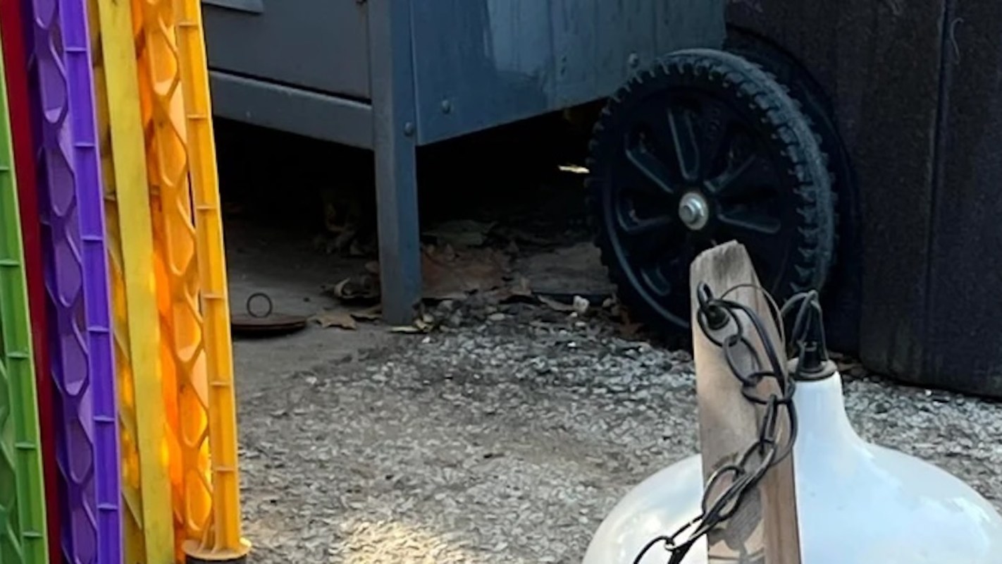 Passerby thrilled after discovering unique items left out on neighborhood curb: 'My best find to date'