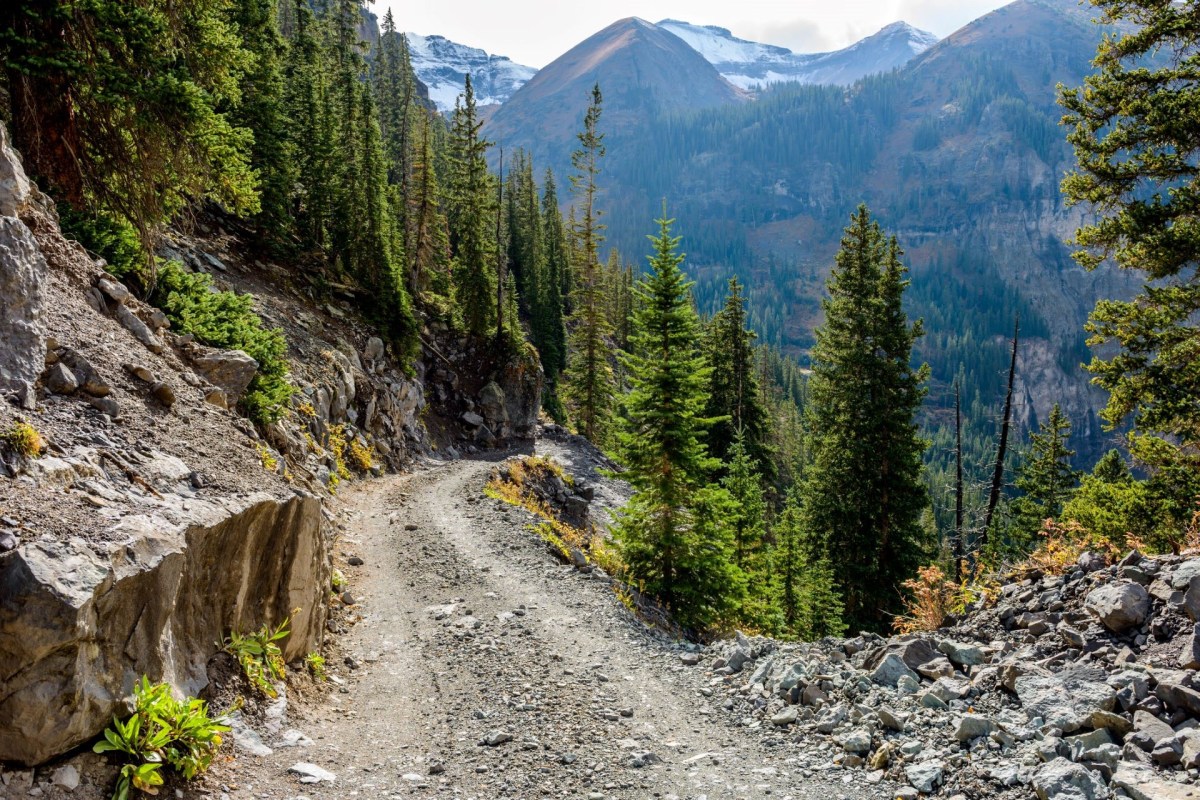 A viral video of a tour group behaving badly at Rocky Mountain National Park is making the internet furious.
