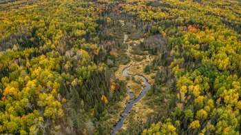 The Nature Conservancy just protected 12,000 acres of Minnesota's forest, expanding the Sand Lake/Seven Beavers Preserve.