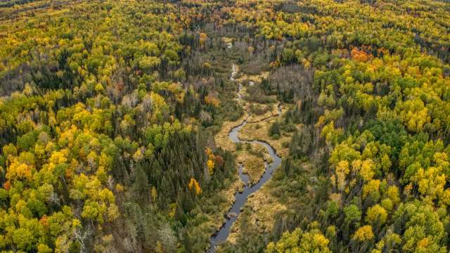 The Nature Conservancy just protected 12,000 acres of Minnesota's forest, expanding the Sand Lake/Seven Beavers Preserve.