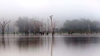 At least 28 resorts and large commercial establishments in the Mysuru region of Karnataka, India, are under fire for operating without no-objection certificates.