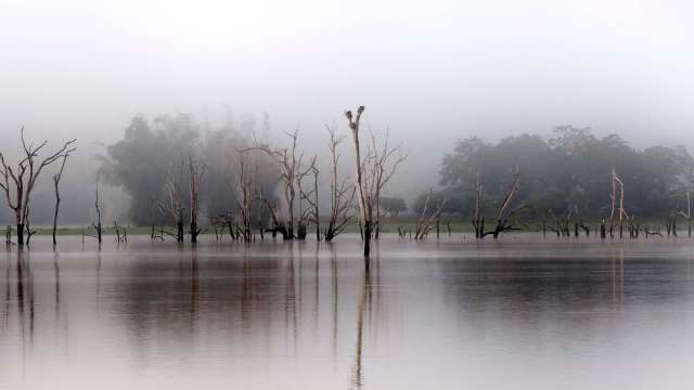At least 28 resorts and large commercial establishments in the Mysuru region of Karnataka, India, are under fire for operating without no-objection certificates.